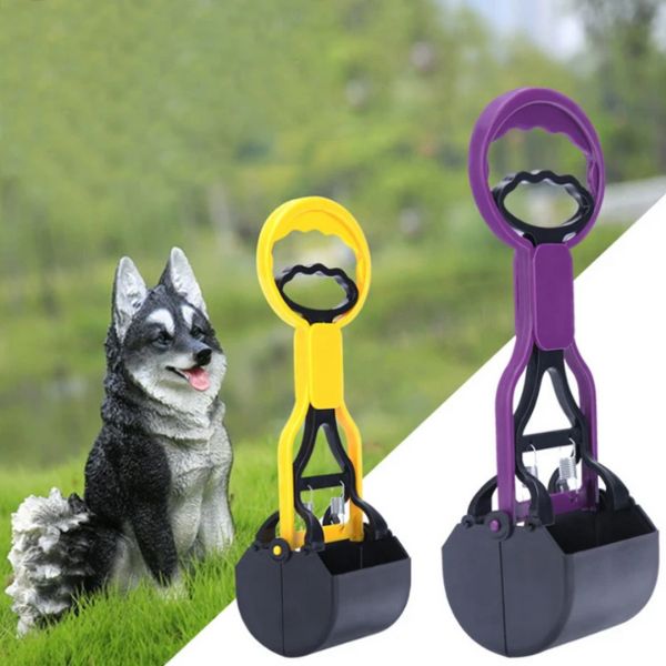 Dog Scoop - Ars importys