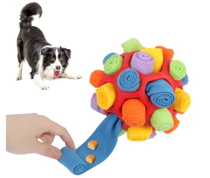 Petisco Pet - Bola Interativa - Ars importys