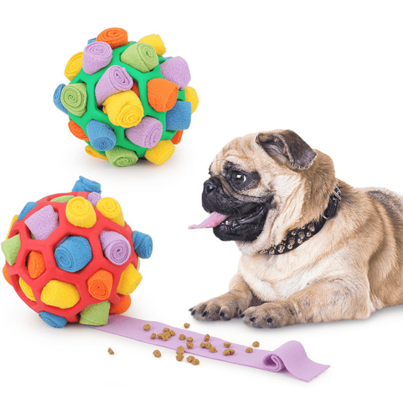 Petisco Pet - Bola Interativa - Ars importys