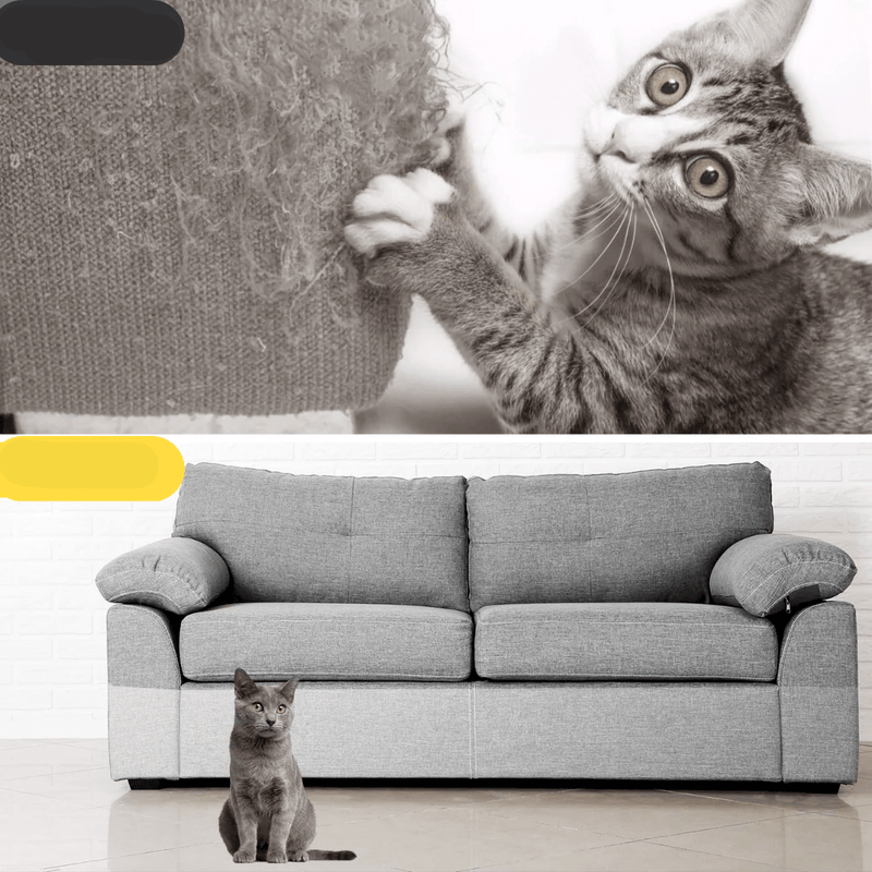 Protetor Anti Arranhões para Gatos - Ars importys