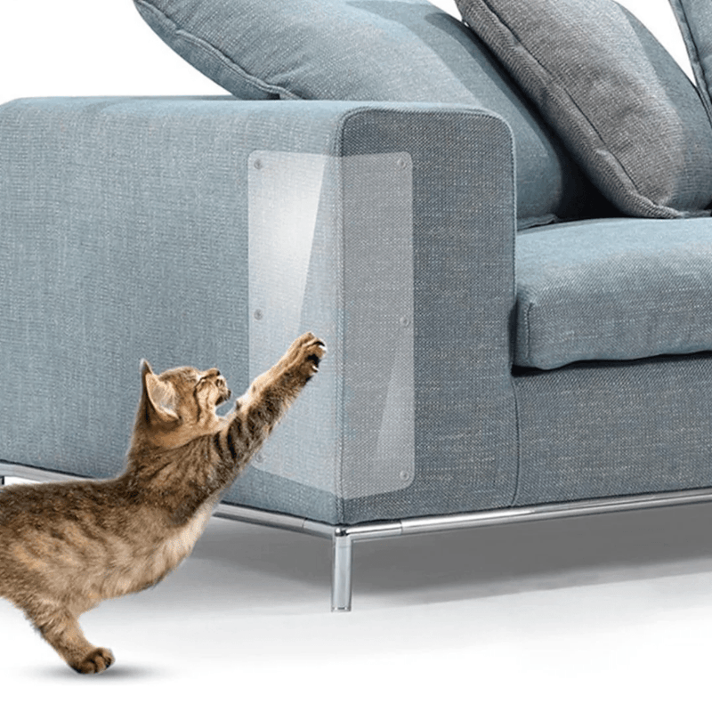 Protetor Anti Arranhões para Gatos - Ars importys